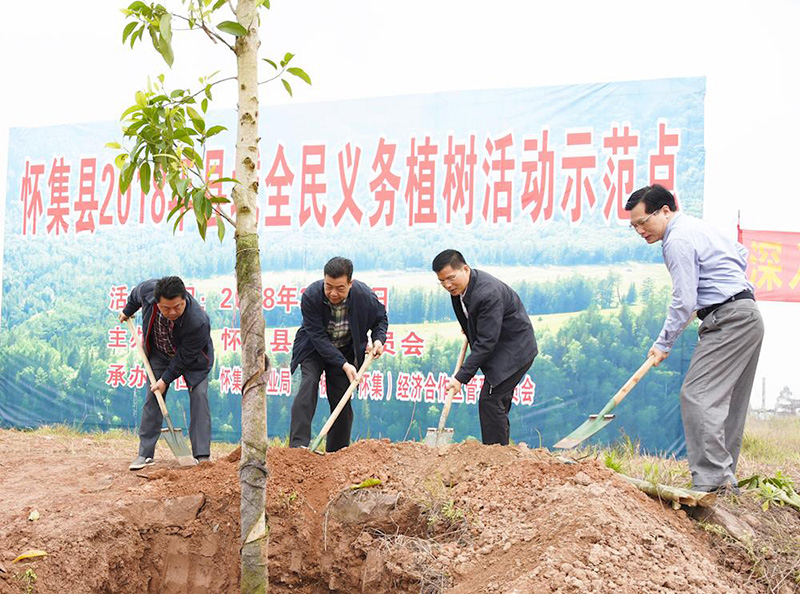 千名干部群众植树为怀集添绿