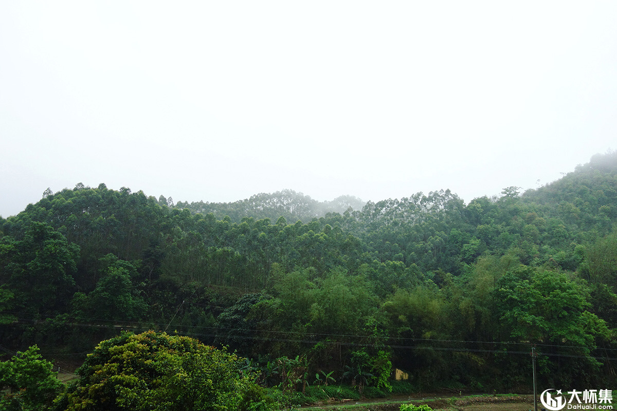 大山的春天