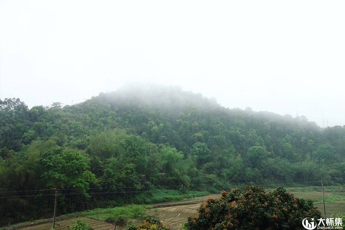 怀集山村的春天