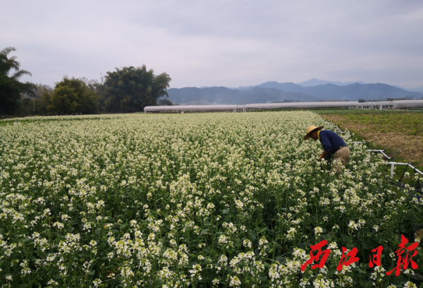 微信图片_20200223203811