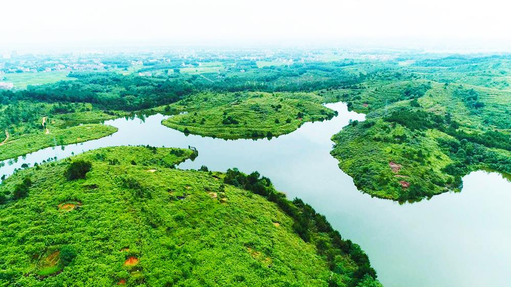 怀集燕都国家湿地公园试点建设显成效草长平湖白鹭飞